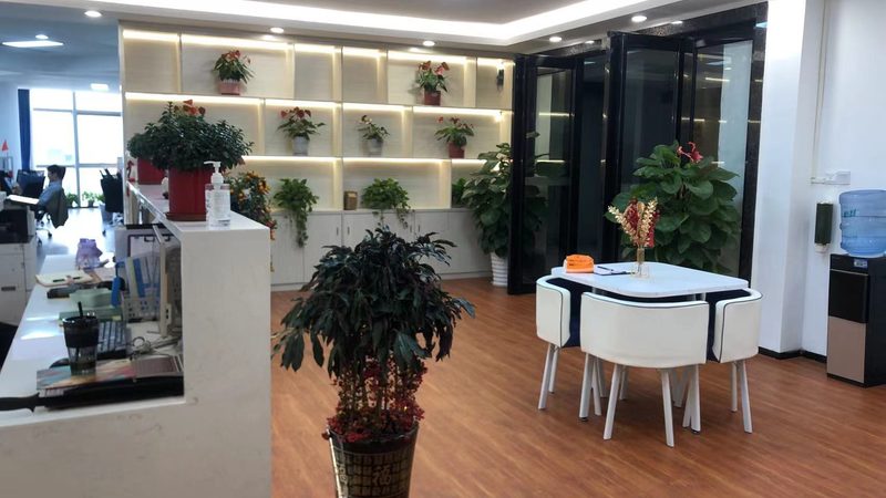 网店法人风险识别：关键环节与应对策略